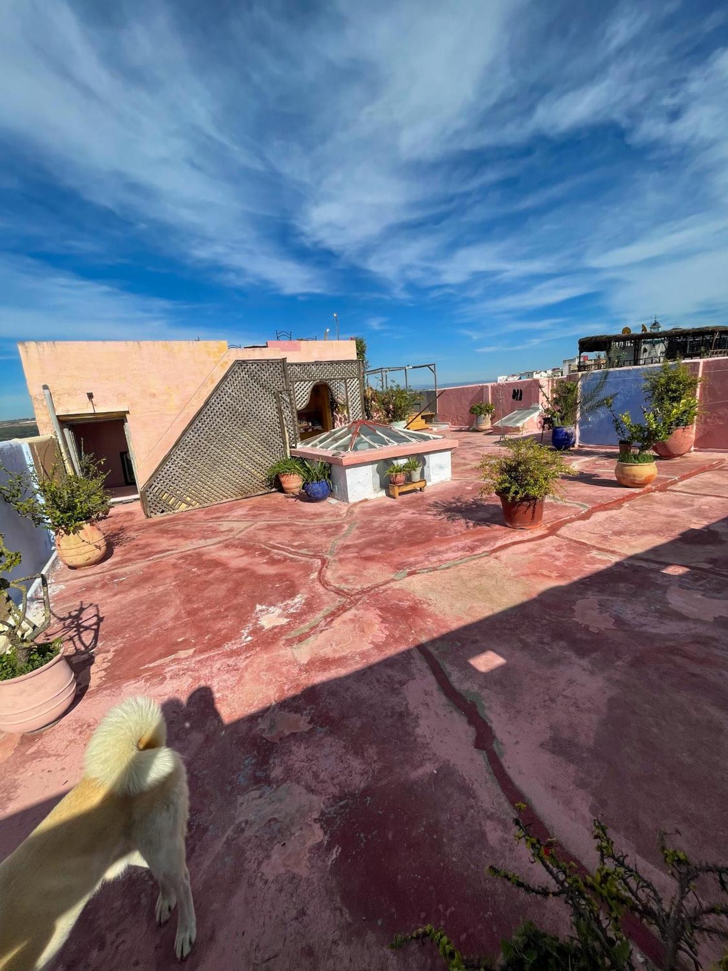 La Maison Haute Larache Morocco Екстер'єр фото
